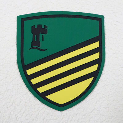 कस्टम सिलिकॉन स्क्रीन मुद्रित लेबल वाटरप्रूफ टिकाऊ लोगो टैग खेल वस्त्र और वर्दी के लिए